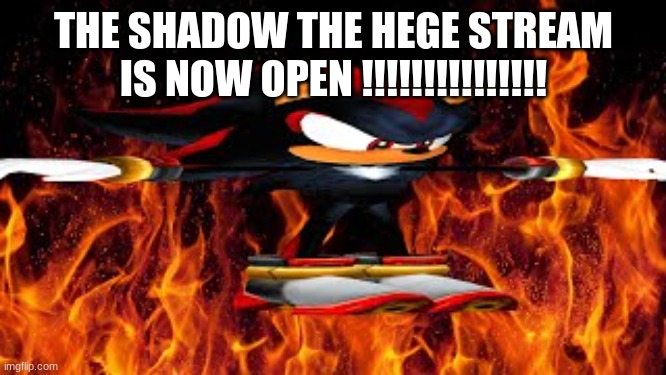 (mod note: EGE LORBBB) | THE SHADOW THE HEGE STREAM IS NOW OPEN !!!!!!!!!!!!!!! | image tagged in shadow the hege | made w/ Imgflip meme maker