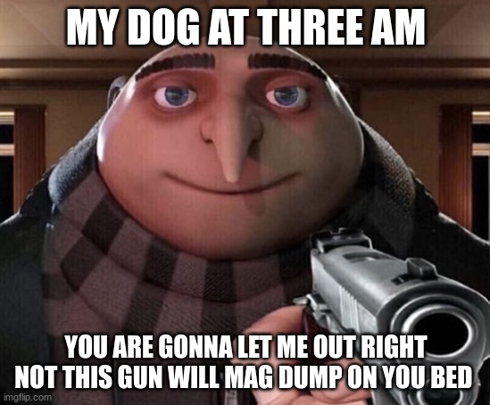 Gru Gun | MY DOG AT THREE AM; YOU ARE GONNA LET ME OUT RIGHT NOT THIS GUN WILL MAG DUMP ON YOU BED | image tagged in gru gun | made w/ Imgflip meme maker