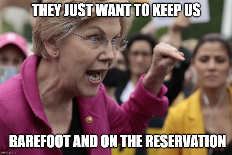 Pocahontas | THEY JUST WANT TO KEEP US; BAREFOOT AND ON THE RESERVATION | image tagged in wacky warren,funny memes | made w/ Imgflip meme maker