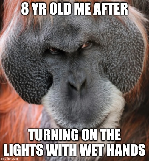 Yes I like To live dangerously |  8 YR OLD ME AFTER; TURNING ON THE LIGHTS WITH WET HANDS | image tagged in orangutan | made w/ Imgflip meme maker