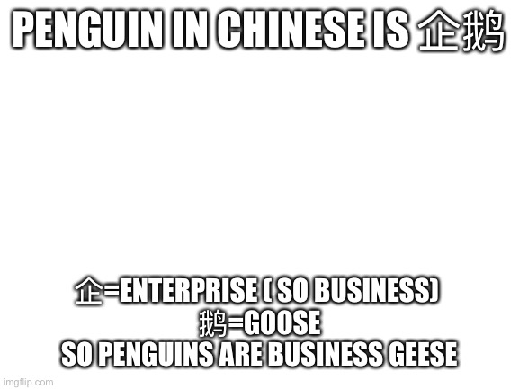 Blank White Template | PENGUIN IN CHINESE IS 企鹅 企=ENTERPRISE ( SO BUSINESS) 
鹅=GOOSE
SO PENGUINS ARE BUSINESS GEESE | image tagged in blank white template | made w/ Imgflip meme maker