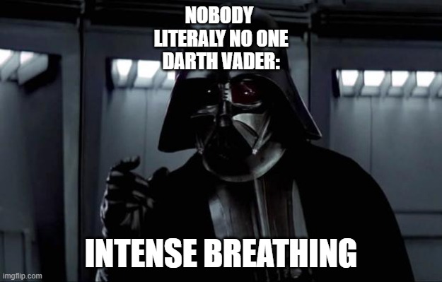 Well be right back | NOBODY 
LITERALY NO ONE
DARTH VADER:; INTENSE BREATHING | image tagged in darth vader | made w/ Imgflip meme maker
