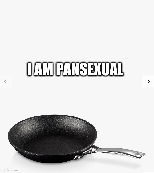 kill me now | I AM PANSEXUAL | image tagged in frying pan | made w/ Imgflip meme maker