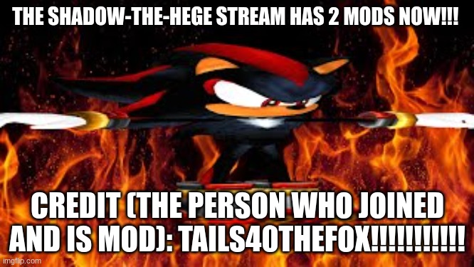 yes lets go!!!!!!!! | THE SHADOW-THE-HEGE STREAM HAS 2 MODS NOW!!! CREDIT (THE PERSON WHO JOINED AND IS MOD): TAILS40THEFOX!!!!!!!!!!! | image tagged in shadow the hege | made w/ Imgflip meme maker