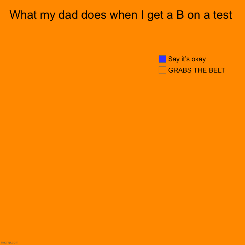 What my dad does when I get a B on a test | GRABS THE BELT, Say it’s okay | image tagged in charts,pie charts | made w/ Imgflip chart maker