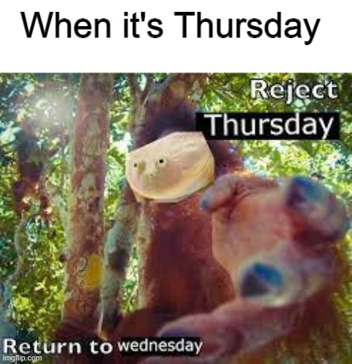  When it's Thursday | image tagged in gentlemen it is with great pleasure to inform you that,it is wednesday my dudes,frog,poggers | made w/ Imgflip meme maker