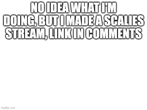 Link in comments | NO IDEA WHAT I'M DOING, BUT I MADE A SCALIES STREAM, LINK IN COMMENTS | image tagged in blank white template,furry | made w/ Imgflip meme maker