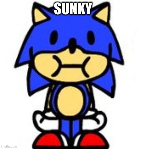 Sunky Stare | SUNKY | image tagged in sunky stare | made w/ Imgflip meme maker