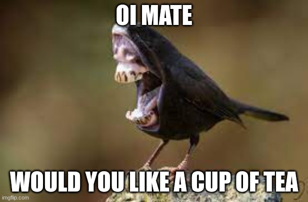 OI MATE; WOULD YOU LIKE A CUP OF TEA | image tagged in funny,british | made w/ Imgflip meme maker