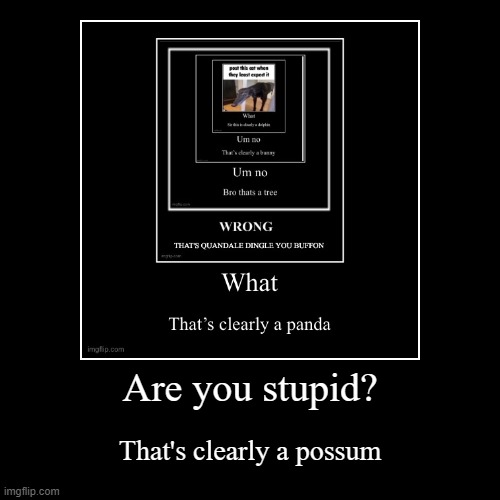 What no | image tagged in funny,demotivationals,cat,tree,panda,possum | made w/ Imgflip demotivational maker
