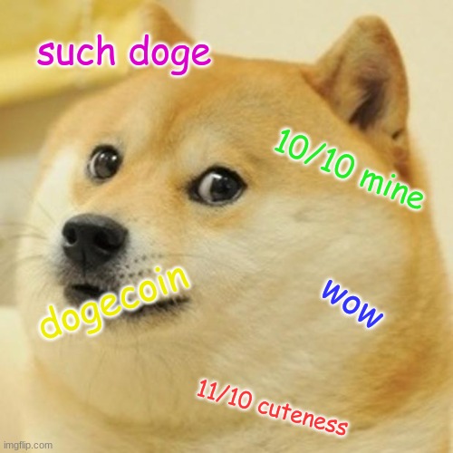 Doge | such doge; 10/10 mine; dogecoin; wow; 11/10 cuteness | image tagged in memes,doge | made w/ Imgflip meme maker