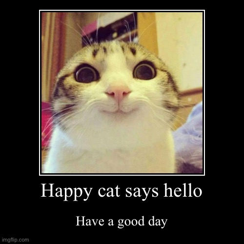 Happiness Cat | image tagged in funny,demotivationals,cat,wholesome | made w/ Imgflip demotivational maker