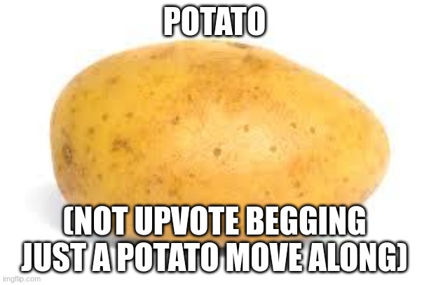 p o t a t o | POTATO; (NOT UPVOTE BEGGING JUST A POTATO MOVE ALONG) | image tagged in potato | made w/ Imgflip meme maker