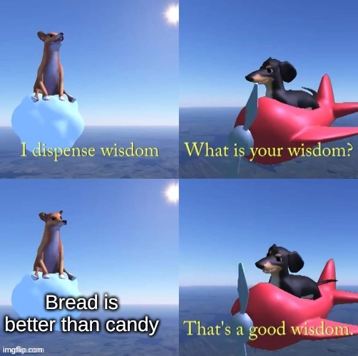Wisdom dog | Bread is better than candy | image tagged in wisdom dog | made w/ Imgflip meme maker