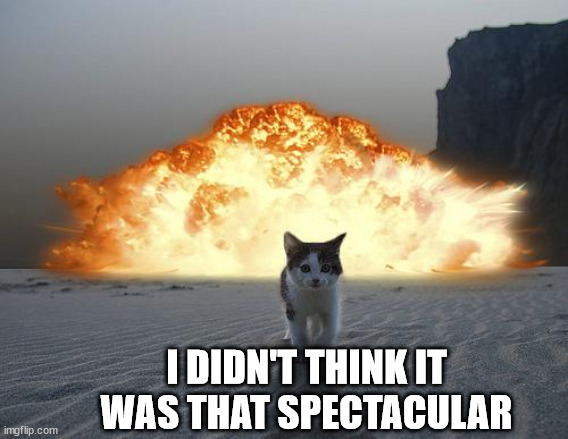 cat explosion | I DIDN'T THINK IT WAS THAT SPECTACULAR | image tagged in cat explosion | made w/ Imgflip meme maker