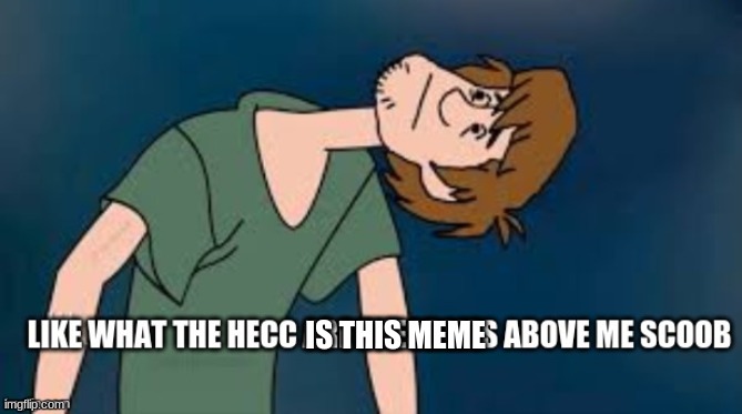 what the hecc | IS THIS MEME | image tagged in like what are these lies above me scoob | made w/ Imgflip meme maker