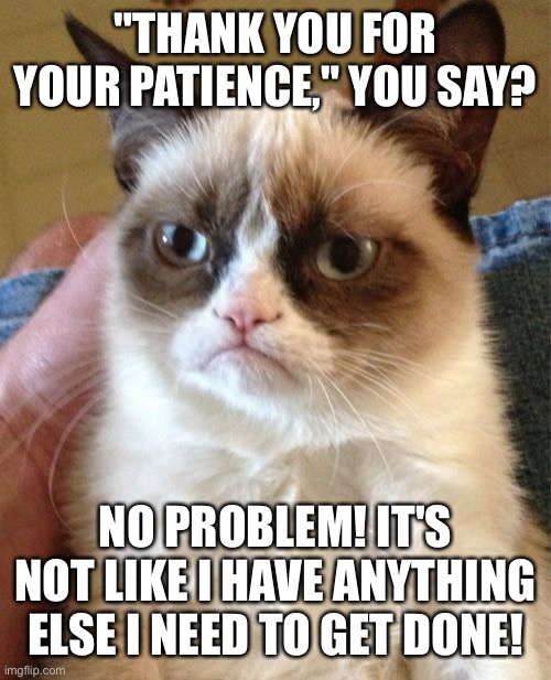 Patience |  "THANK YOU FOR YOUR PATIENCE," YOU SAY? NO PROBLEM! IT'S NOT LIKE I HAVE ANYTHING ELSE I NEED TO GET DONE! | image tagged in memes,grumpy cat | made w/ Imgflip meme maker
