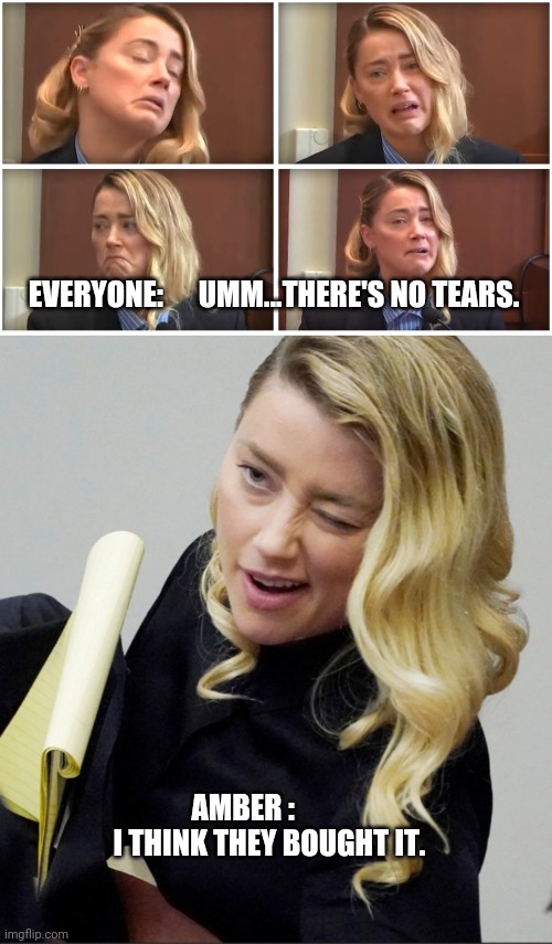 EVERYONE:      UMM...THERE'S NO TEARS. AMBER :          I THINK THEY BOUGHT IT. | image tagged in amber heard | made w/ Imgflip meme maker