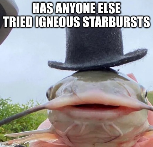 catfish drip | HAS ANYONE ELSE TRIED IGNEOUS STARBURSTS | image tagged in catfish drip | made w/ Imgflip meme maker
