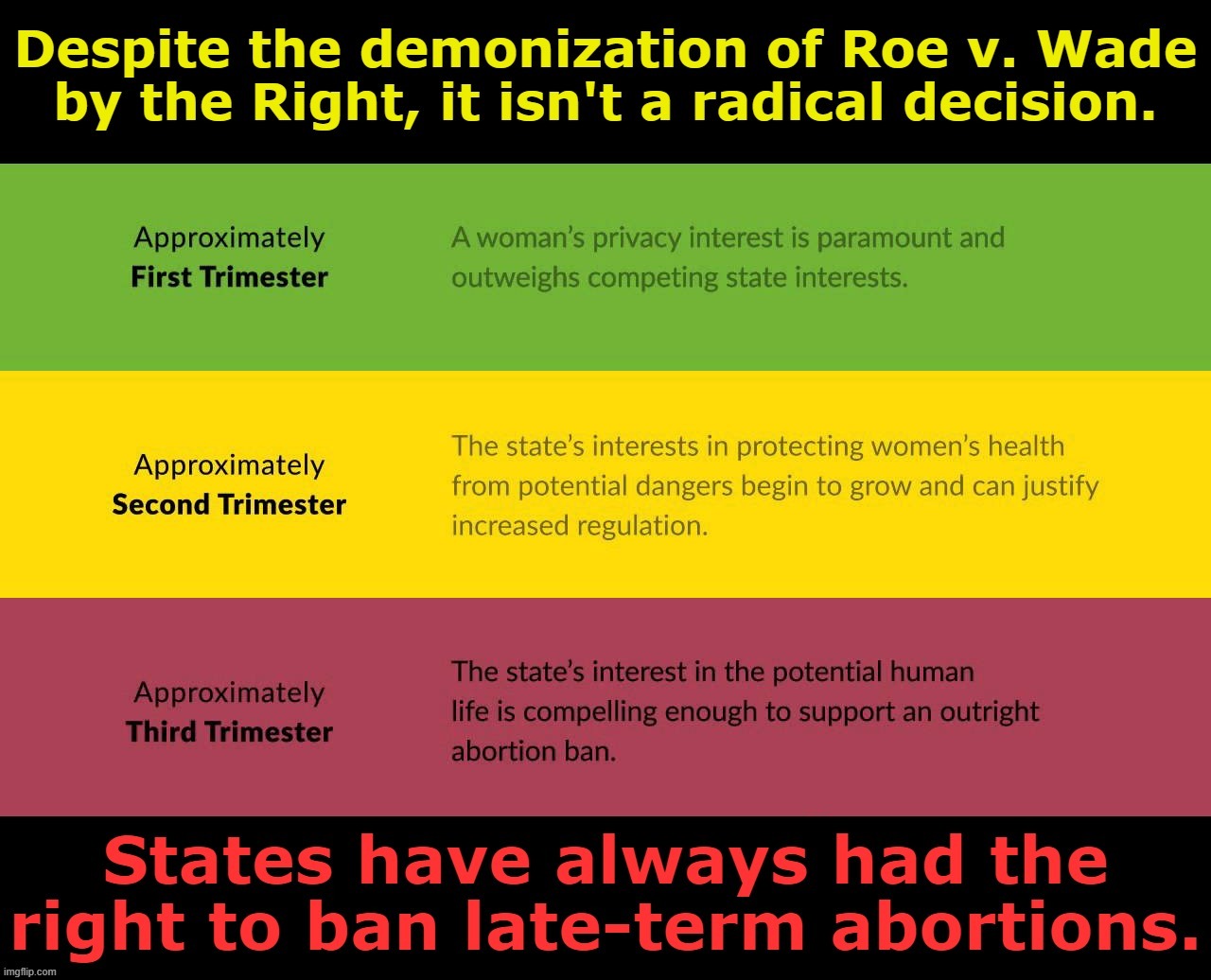 Roe is a careful compromise which balances women's rights, doctors' insights, and public concern about late-term abortions. | image tagged in abortion,scotus,roe v wade,womens rights,supreme court,human rights | made w/ Imgflip meme maker