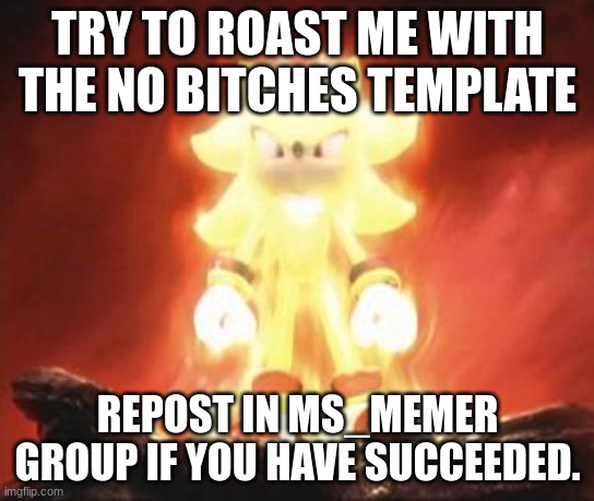 Roast me |  TRY TO ROAST ME WITH THE NO BITCHES TEMPLATE; REPOST IN MS_MEMER GROUP IF YOU HAVE SUCCEEDED. | image tagged in super shadow,roast | made w/ Imgflip meme maker