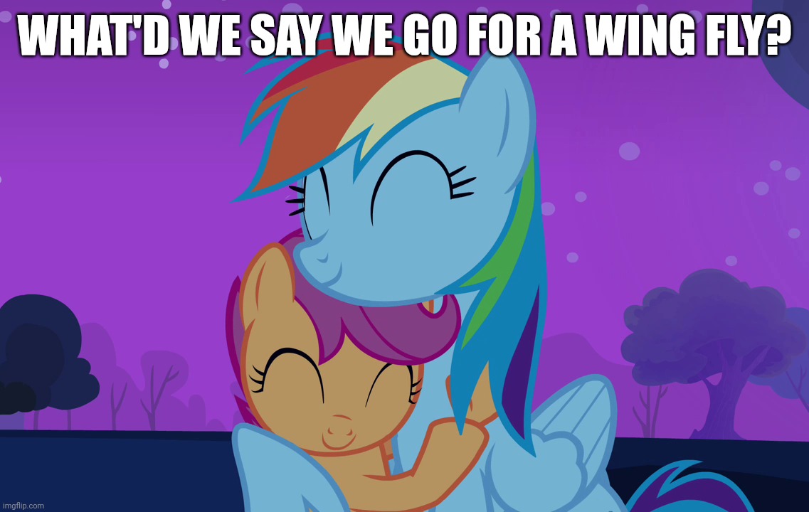 WHAT'D WE SAY WE GO FOR A WING FLY? | made w/ Imgflip meme maker