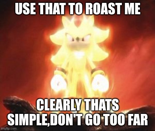 Super Shadow | USE THAT TO ROAST ME CLEARLY THATS SIMPLE,DON'T GO TOO FAR | image tagged in super shadow | made w/ Imgflip meme maker