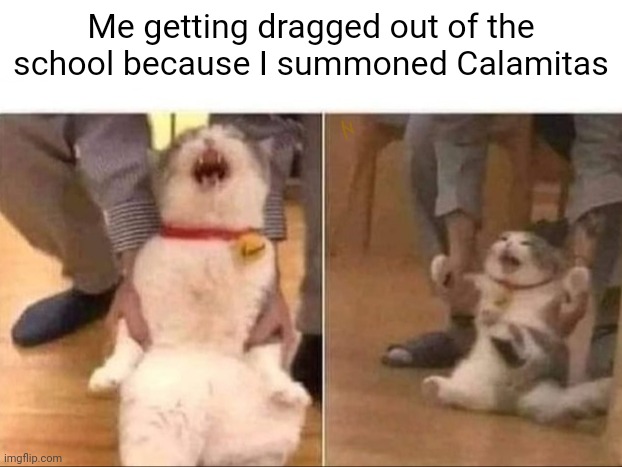 Cat Escorted | Me getting dragged out of the school because I summoned Calamitas | image tagged in cat escorted | made w/ Imgflip meme maker
