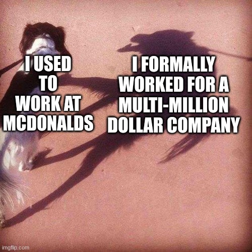 resume | I USED TO WORK AT MCDONALDS; I FORMALLY WORKED FOR A MULTI-MILLION DOLLAR COMPANY | image tagged in dog's shadow,mcdonalds | made w/ Imgflip meme maker