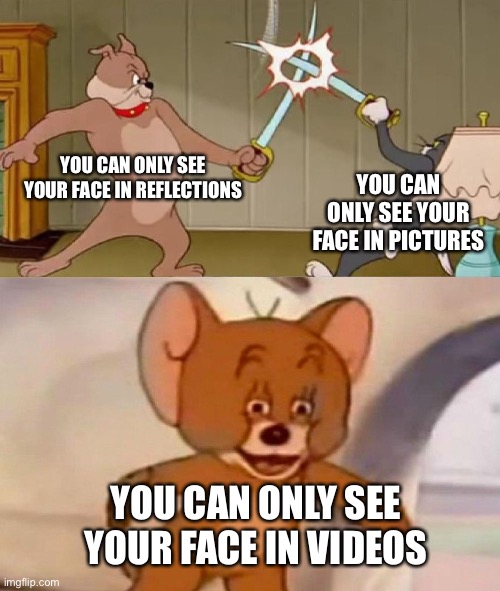 Y vids left out |  YOU CAN ONLY SEE YOUR FACE IN REFLECTIONS; YOU CAN ONLY SEE YOUR FACE IN PICTURES; YOU CAN ONLY SEE YOUR FACE IN VIDEOS | image tagged in tom and jerry swordfight | made w/ Imgflip meme maker