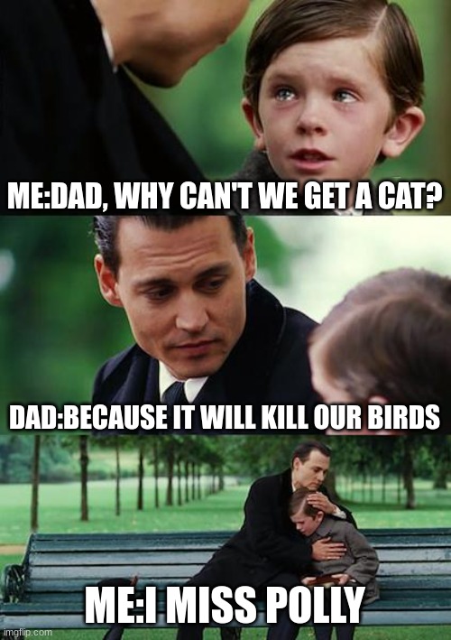 memes | ME:DAD, WHY CAN'T WE GET A CAT? DAD:BECAUSE IT WILL KILL OUR BIRDS; ME:I MISS POLLY | image tagged in memes,finding neverland | made w/ Imgflip meme maker