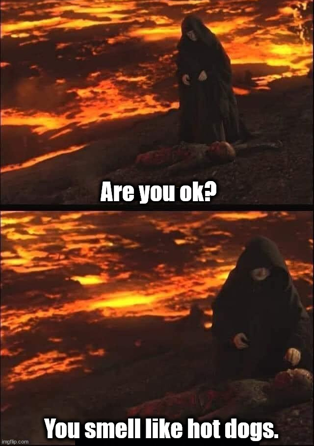 Are you ok? You smell like hot dogs. | image tagged in star wars | made w/ Imgflip meme maker