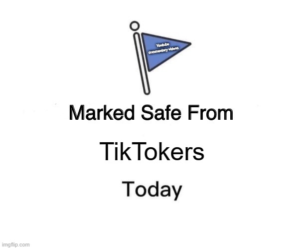 YouTube commentary videos is what the flag says. | Youtube commentary videos; TikTokers | image tagged in memes,marked safe from | made w/ Imgflip meme maker