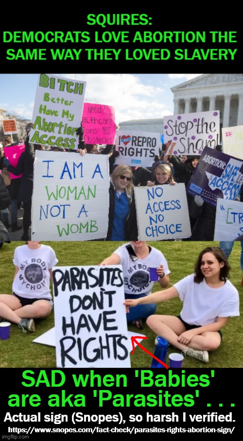 Dems in Full Panic Mode Over Leaked Draft Opinion From The Supreme Court |  SAD when 'Babies'; are aka 'Parasites' . . . Actual sign (Snopes), so harsh I verified. https://www.snopes.com/fact-check/parasites-rights-abortion-sign/ | image tagged in politics,democrats,abortion,supreme court,babies,panic | made w/ Imgflip meme maker