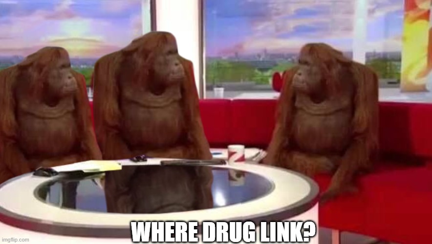 where monkey | WHERE DRUG LINK? | image tagged in where monkey | made w/ Imgflip meme maker