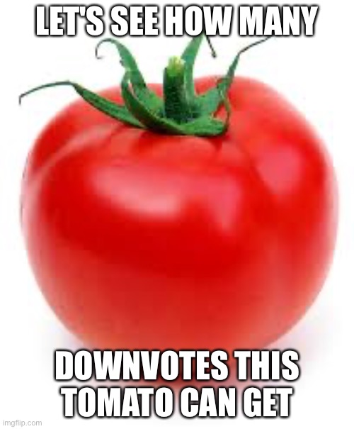 tomato | LET'S SEE HOW MANY; DOWNVOTES THIS TOMATO CAN GET | image tagged in tomatoes are yuck | made w/ Imgflip meme maker