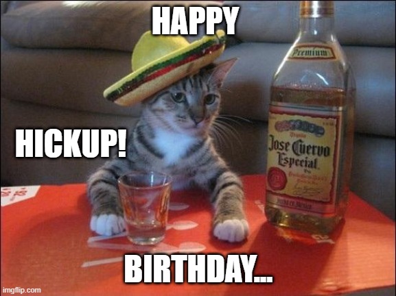 Cinco De Mayo Drunken Birthday | HAPPY; HICKUP! BIRTHDAY... | image tagged in tequila cat,cinco de mayo,birthday | made w/ Imgflip meme maker