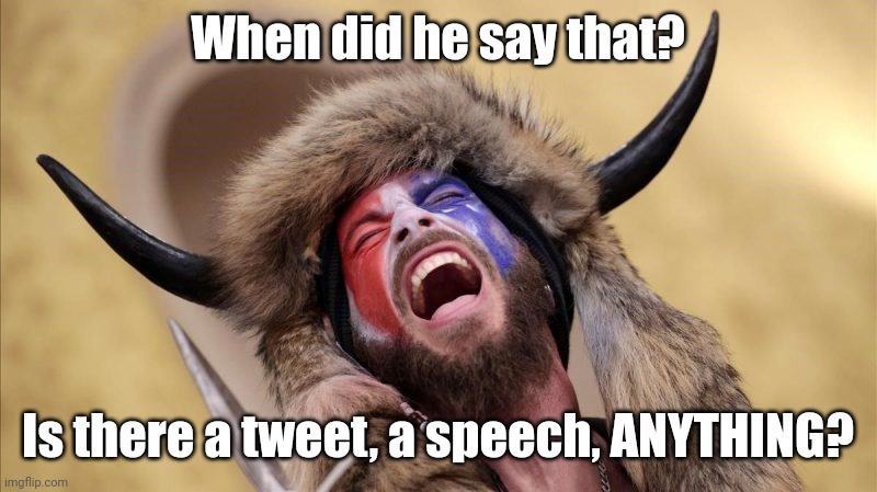 qanon shaman | When did he say that? Is there a tweet, a speech, ANYTHING? | image tagged in qanon shaman | made w/ Imgflip meme maker