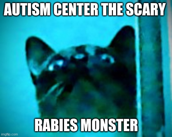 stan cat | AUTISM CENTER THE SCARY; RABIES MONSTER | image tagged in stan cat | made w/ Imgflip meme maker