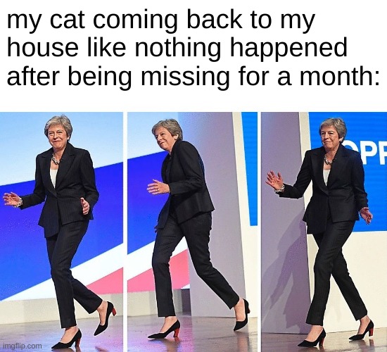 back in blackkkkk | my cat coming back to my house like nothing happened after being missing for a month: | image tagged in theresa may walking,cats | made w/ Imgflip meme maker