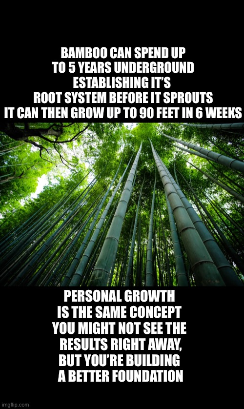 Growth takes time | BAMBOO CAN SPEND UP TO 5 YEARS UNDERGROUND ESTABLISHING IT’S 
ROOT SYSTEM BEFORE IT SPROUTS
IT CAN THEN GROW UP TO 90 FEET IN 6 WEEKS; PERSONAL GROWTH 
IS THE SAME CONCEPT 
YOU MIGHT NOT SEE THE 
RESULTS RIGHT AWAY,
BUT YOU’RE BUILDING 
A BETTER FOUNDATION | image tagged in motivational,deep thoughts,growth,facts | made w/ Imgflip meme maker