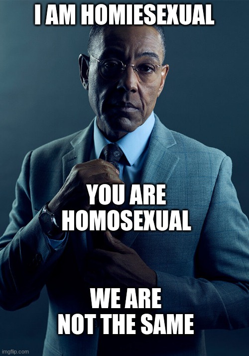 I am Homiesexual | I AM HOMIESEXUAL; YOU ARE HOMOSEXUAL; WE ARE NOT THE SAME | image tagged in gus fring we are not the same | made w/ Imgflip meme maker