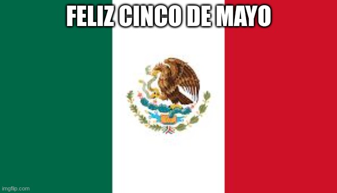 lesss goo bro | FELIZ CINCO DE MAYO | image tagged in mexican flag | made w/ Imgflip meme maker