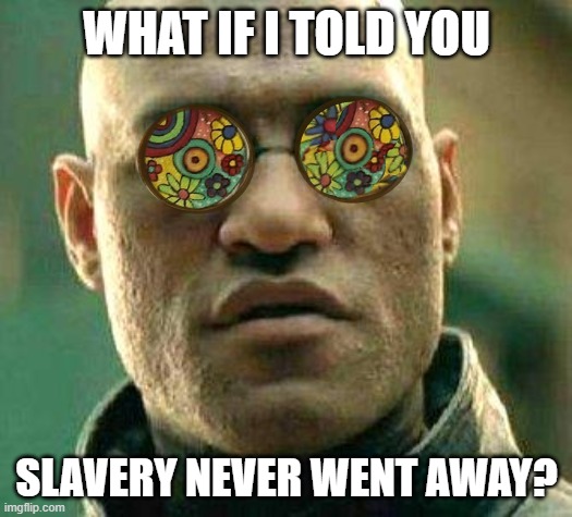 Acid kicks in Morpheus | WHAT IF I TOLD YOU SLAVERY NEVER WENT AWAY? | image tagged in acid kicks in morpheus | made w/ Imgflip meme maker