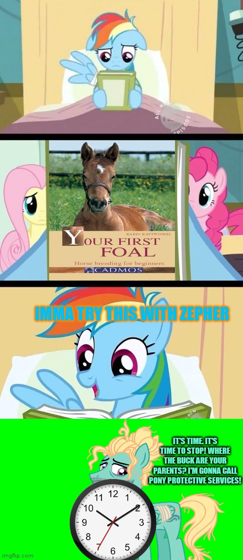 It's time to stop | IMMA TRY THIS WITH ZEPHER; IT'S TIME. IT'S TIME TO STOP! WHERE THE BUCK ARE YOUR PARENTS? I'M GONNA CALL PONY PROTECTIVE SERVICES! | image tagged in green screen for videos,it's time to stop,rainbow dash,mlp,zephyr breeze,the more you know | made w/ Imgflip meme maker