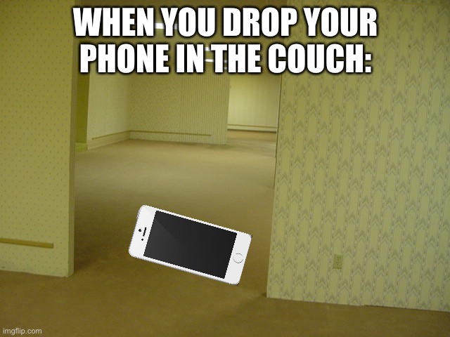 When your phone falls in between the couch | WHEN YOU DROP YOUR PHONE IN THE COUCH: | image tagged in the backrooms | made w/ Imgflip meme maker