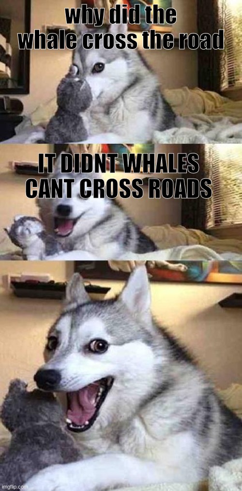 Dad jokes | why did the whale cross the road; IT DIDNT WHALES CANT CROSS ROADS | image tagged in dog joke | made w/ Imgflip meme maker