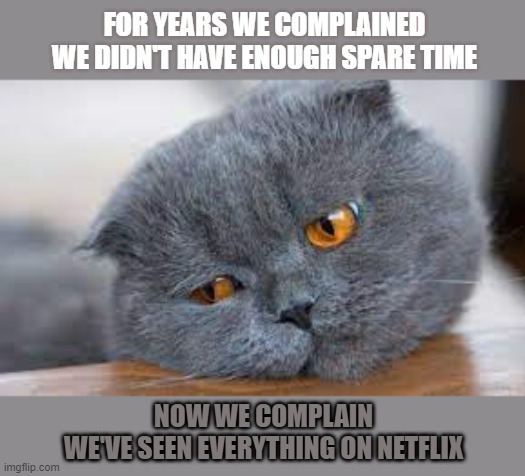 This #lolcat wonders why people like to complain | FOR YEARS WE COMPLAINED
WE DIDN'T HAVE ENOUGH SPARE TIME; NOW WE COMPLAIN
WE'VE SEEN EVERYTHING ON NETFLIX | image tagged in complaining,lolcat,bored,boredom,think about it | made w/ Imgflip meme maker