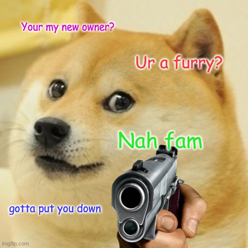 R/wtf | Your my new owner? Ur a furry? Nah fam; gotta put you down | image tagged in lmao,doge | made w/ Imgflip meme maker