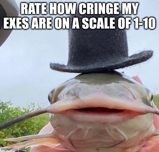 catfish drip | RATE HOW CRINGE MY EXES ARE ON A SCALE OF 1-10 | image tagged in catfish drip | made w/ Imgflip meme maker